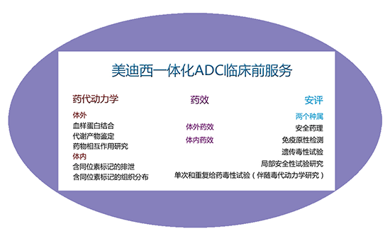 ag亚娱一体化ADC临床前服务