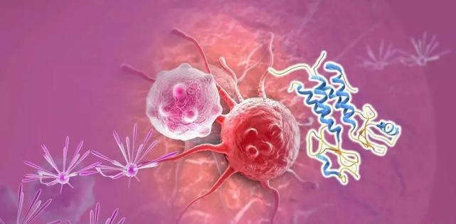 【盘点】高选择性mTOR抑制剂的研究进程_ag亚娱生物医药