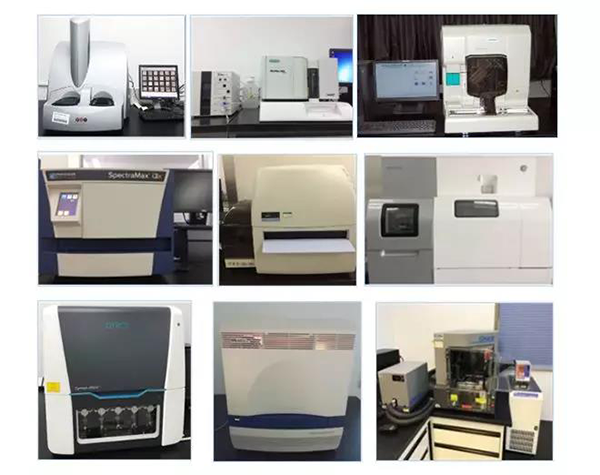 ag亚娱生物技术药物分析部门拥有SpectraMaxM4/M5/i3x, MSD, Luminex, Biacore 8K, Envision, Gyrolab，ABI7500 qPCR等全方位多功能的技术平台，利用LIMS系统实施全面的实验室信息化管理，提供全面符合FDA/CFDA/OECD GLP规范要求的生物技术药物分析服务。
