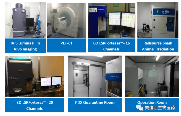 ag亚娱药理部拥有IVIS Lumina III, PET-CT, BD LSRFortessa-16, Flow Cytometry等仪器,提供符合申报,支持临床试验的药效评价服务。