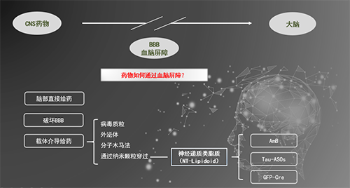 人工合成NT类脂质开放血脑屏障，为CNS药物打开新局面