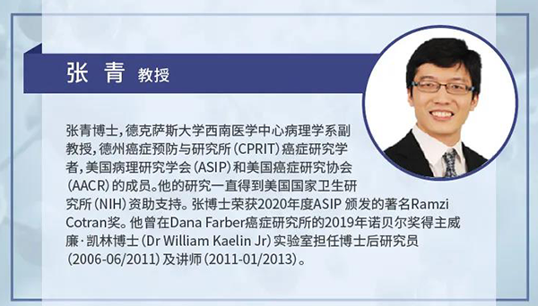 直播预告|诺奖实验室讲师张青教授做客ag亚娱云讲堂，揭示乳腺癌和肾癌治疗新靶点
