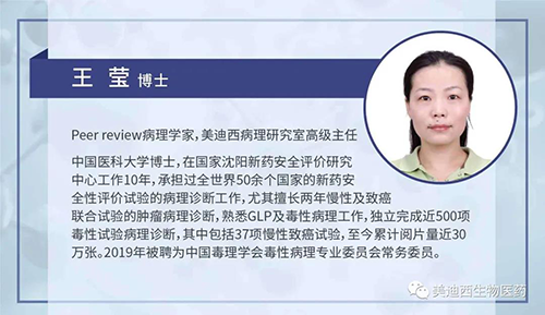 ag亚娱病理研究部高级主任王莹博士
