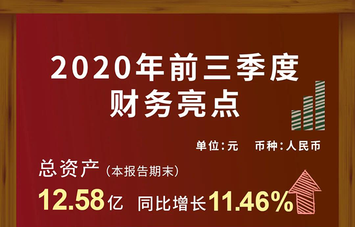 ag亚娱第三季度财务收入