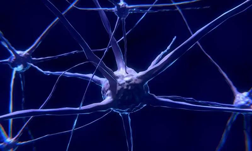 研究首次表明，与年龄有关的认知丧失可能主要是由一种可逆的生理性“阻滞”而不是永久性的降解引起的。