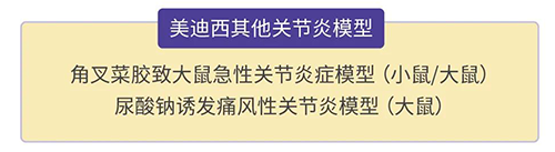 ag亚娱的其他关节炎模型