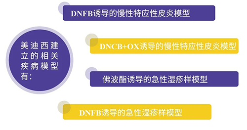 ag亚娱建立的特应性皮炎及湿疹模型