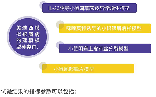 ag亚娱模拟银屑病的建模模型种类