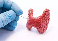 【Science速递】揭开甲状腺的神秘面纱，开启代谢药物新征程
