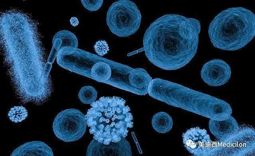 20分钟，大多数细菌都可以繁衍一代 ag亚娱生物医药