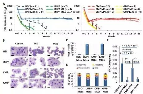 Science子刊：一种FDA批准的抗腹泻药物可有效对抗化疗的耐药性 ag亚娱生物医药