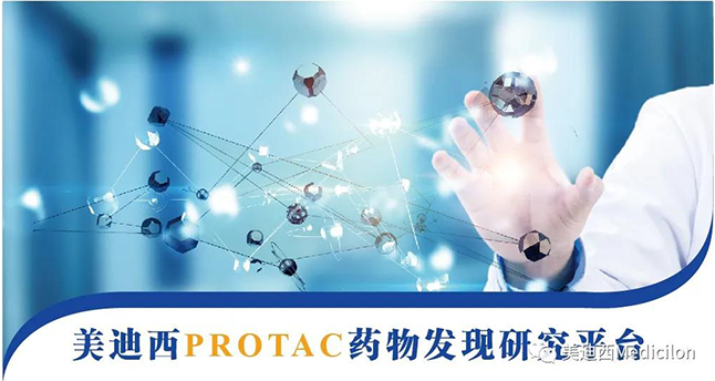 ag亚娱PROTAC药物发现研究平台