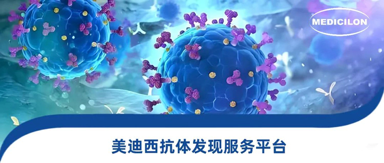 ag亚娱抗体发现服务平台.webp