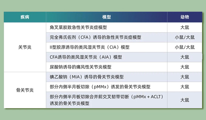 世界关节炎日：突破上亿人的共同难关，持续探索关节炎新药