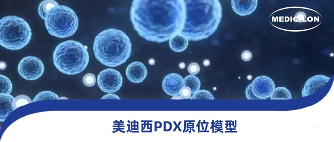 ag亚娱118种PDX原位模型，助力肿瘤药物研发.webp
