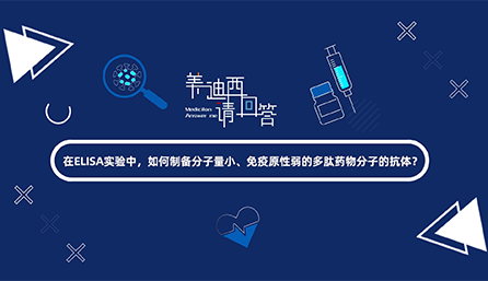 在ELISA实验，如何制备分子量小、免疫原性弱的多肽药物分子的抗体？