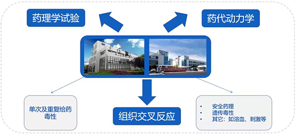 ag亚娱药代以及安评研究服务.png ag亚娱药代以及安评研究服务.png
