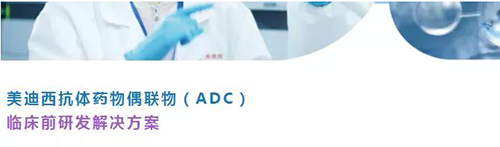ag亚娱抗体药物偶联物(ADC)临床前研发解决方案.png ag亚娱抗体药物偶联物(ADC)临床前研发解决方案.png