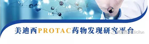 ag亚娱PROTAC药物发现平台.png ag亚娱PROTAC药物发现平台.png
