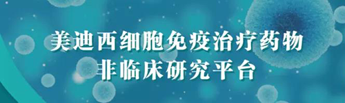 ag亚娱细胞免疫治疗药物非临床研究平台.png ag亚娱细胞免疫治疗药物非临床研究平台.png