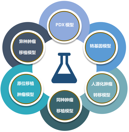 ag亚娱致力于为客户提供成熟的评估ADC体内药效的肿瘤模型.png ag亚娱致力于为客户提供成熟的评估ADC体内药效的肿瘤模型.png