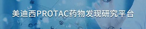 ag亚娱PROTAC药物发现研究平台.png ag亚娱PROTAC药物发现研究平台.png