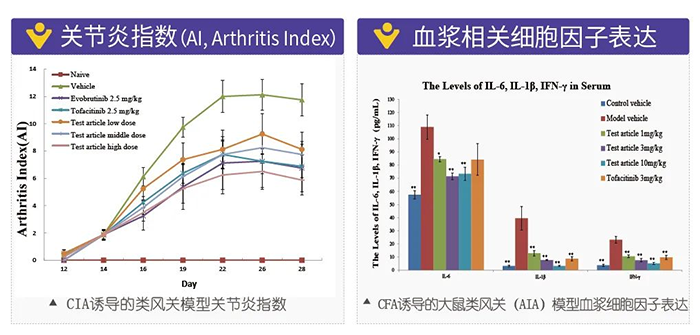 ag亚娱诱导的类风湿性关节炎模型-2.png ag亚娱诱导的类风湿性关节炎模型-2.png