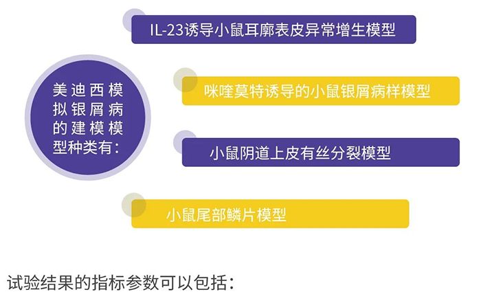 ag亚娱模拟银屑病的建模模型.png ag亚娱模拟银屑病的建模模型.png