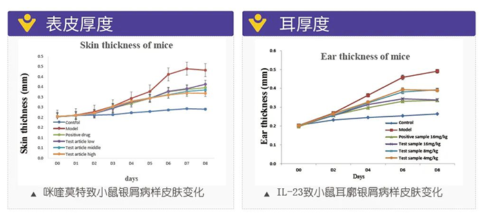 ag亚娱模拟银屑病的建模模型-试验结果的指标.png ag亚娱模拟银屑病的建模模型-试验结果的指标.png