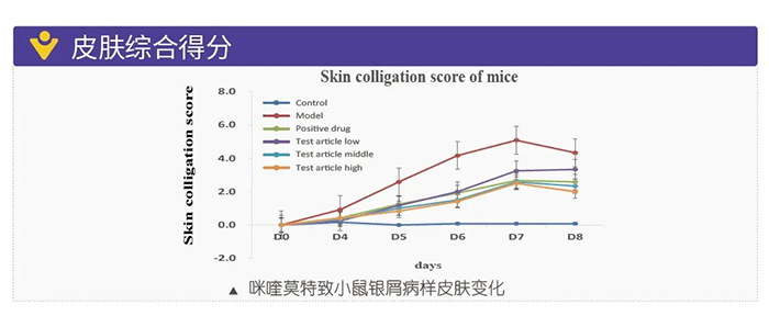 ag亚娱模拟银屑病的建模模型-皮肤综合得分.png ag亚娱模拟银屑病的建模模型-皮肤综合得分.png