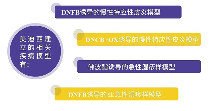 ag亚娱建立的特应性皮炎模型.png ag亚娱建立的特应性皮炎模型.png