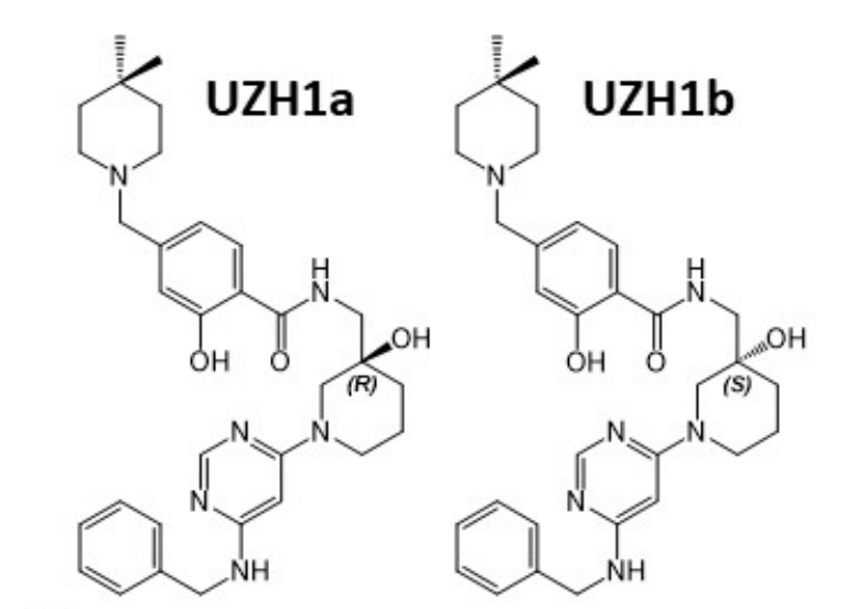 研究人员报告了一种具有细胞渗透性的选择性METTL3纳摩尔抑制剂UZH1a，作者感谢ag亚娱合成了UZH1a和UZH1b