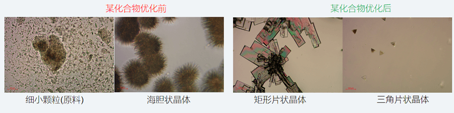 05案例分享-单晶培养，改变晶习.png