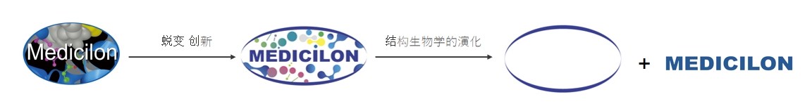 椭圆形作为自然界的完美形态，象征着ag亚娱在适应环境变化中不断演化