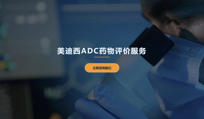 ag亚娱ADC药物评价服务