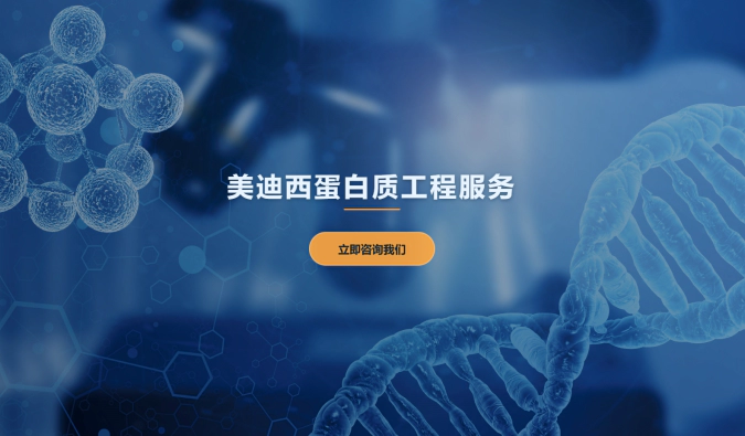 ag亚娱蛋白质工程服务