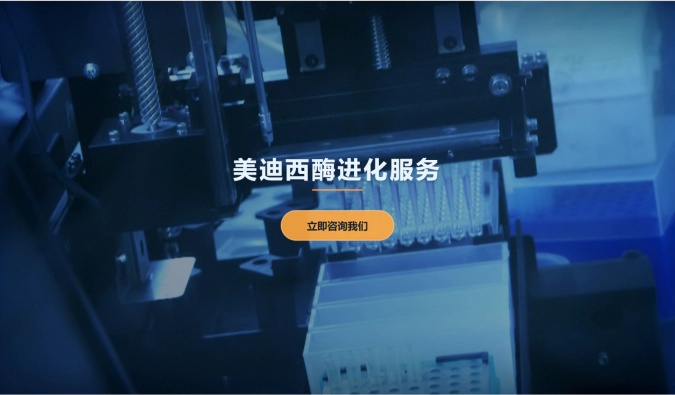 ag亚娱酶进化服务