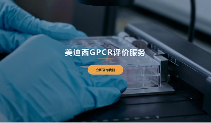 ag亚娱GPCR评价服务