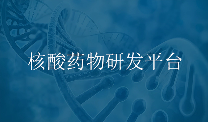 ag亚娱核酸药物研发服务平台.webp