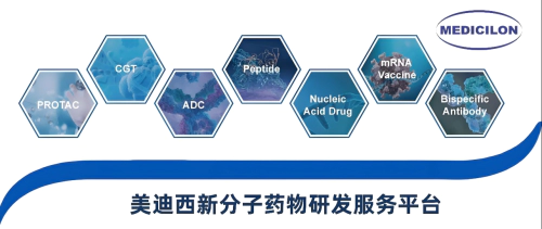 ag亚娱新分子药物研发服务平台.webp