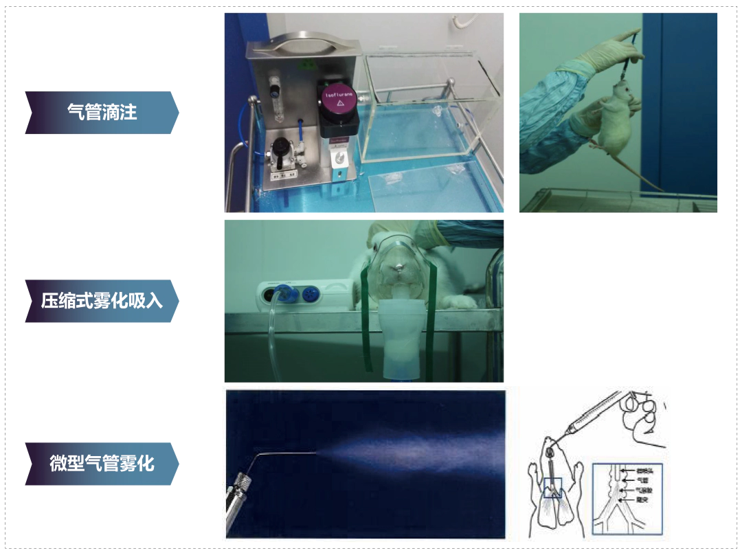 ag亚娱其它吸入给药方式.webp