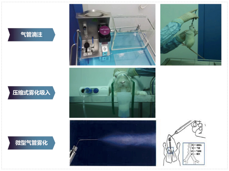 ag亚娱其它吸入给药方式.webp