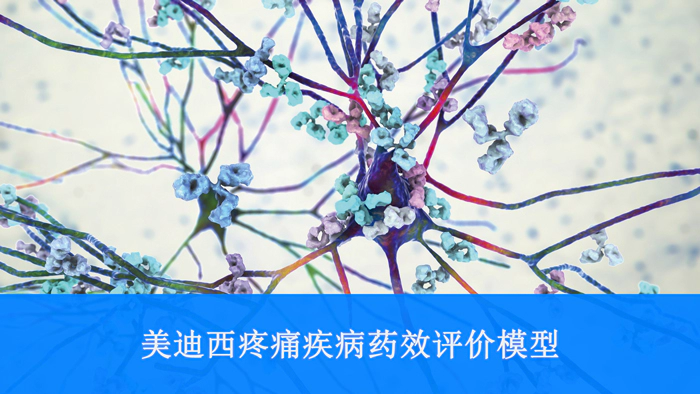 ag亚娱疼痛疾病药效评价模型.webp