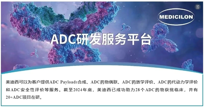 ADC药物研发服务平台.webp